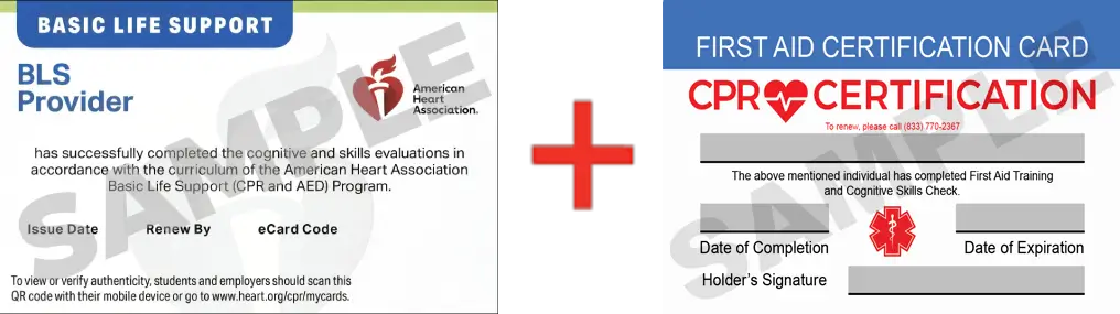 Sample American Heart Association AHA BLS CPR Card Certification and First Aid Certification Card from CPR Certification Louisville